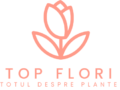 TopFlori